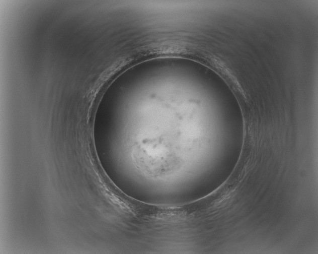 X0000060560721200511031242