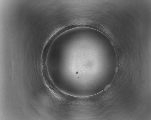 X0000060560722200511031242