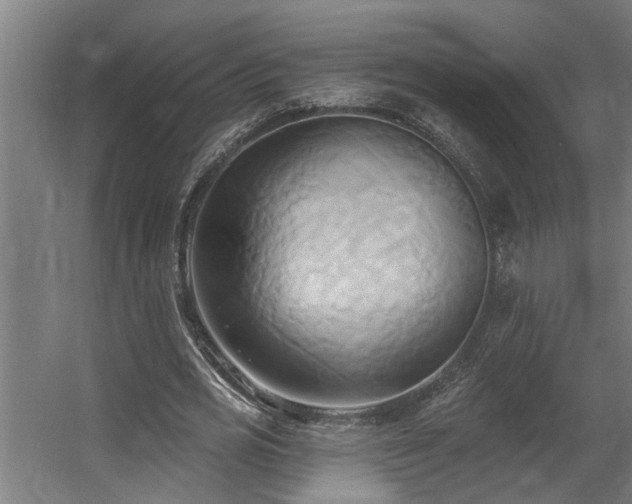 X0000060560725200511031242