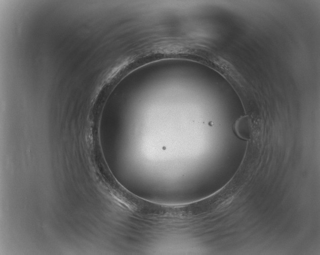 X0000060560727200511031242