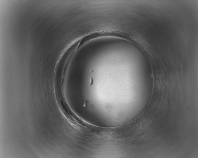 X0000060560728200511031242