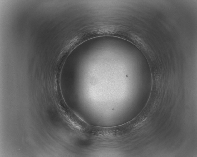 X0000060560729200511031242