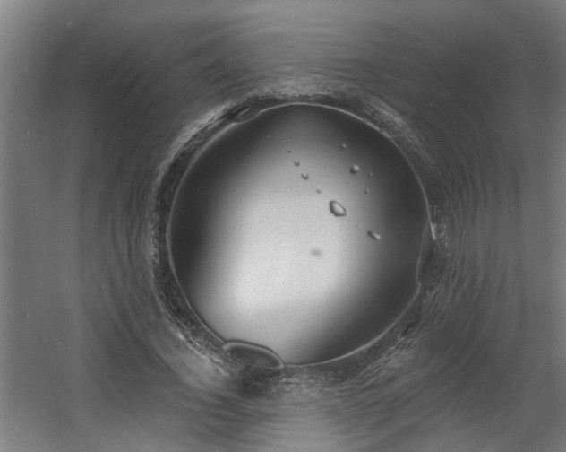 X0000060560732200511031242