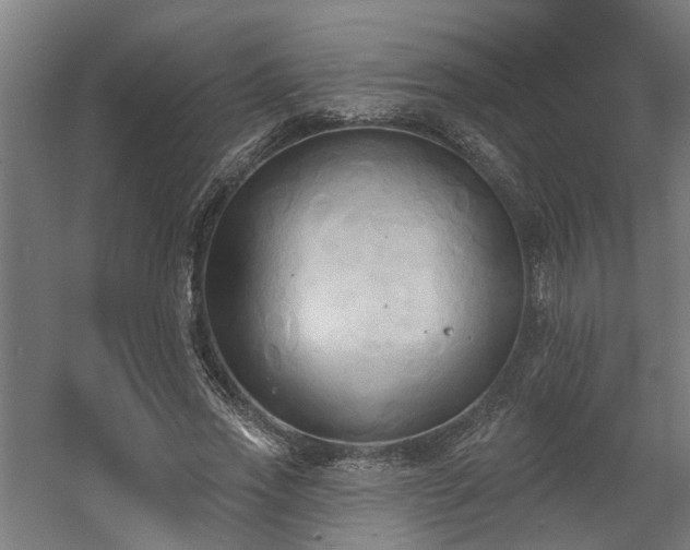 X0000060560733200511031242