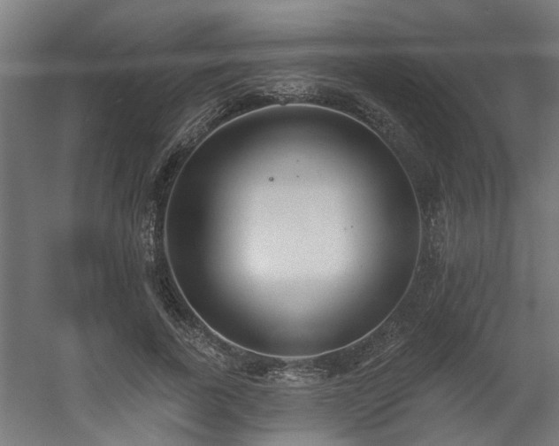 X0000060560739200511031242