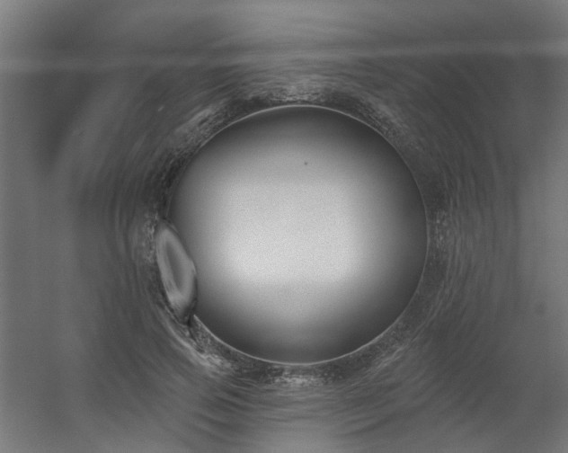 X0000060560741200511031242