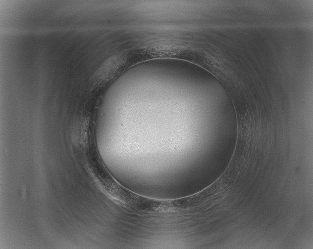 X0000060560742200511031242