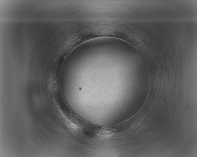 X0000060560743200511031242