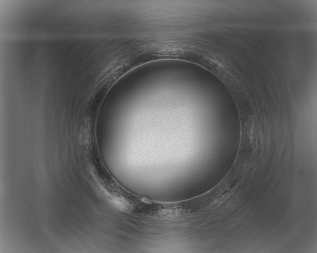 X0000060560744200511031242