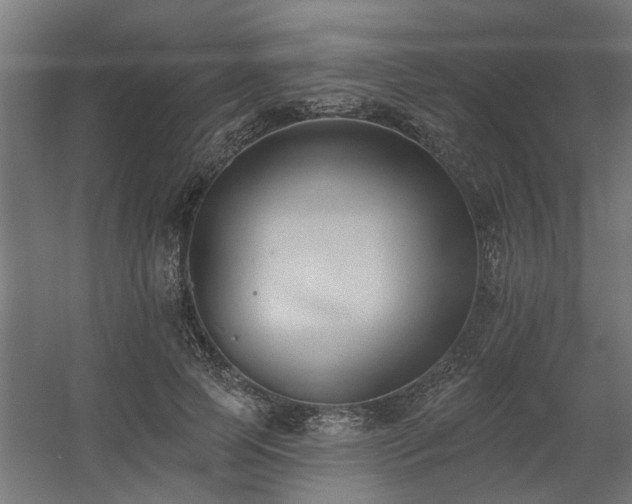 X0000060560745200511031242