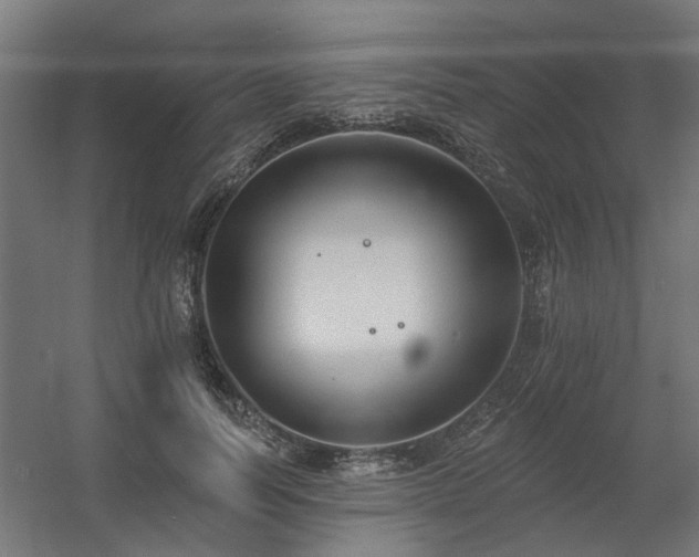 X0000060560746200511031242