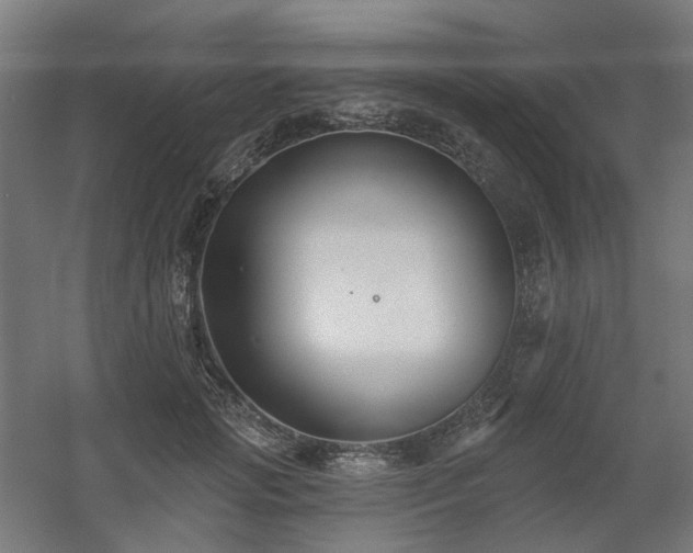 X0000060560749200511031242