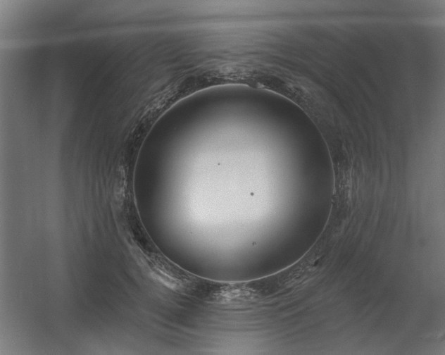 X0000060560752200511031243