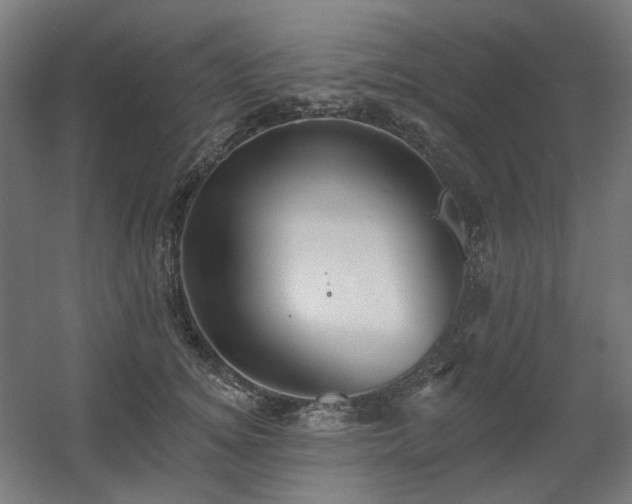 X0000060560756200511031243