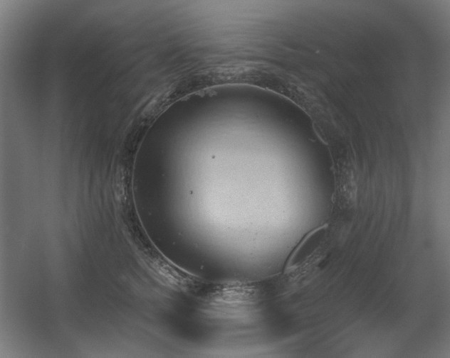 X0000060560758200511031243