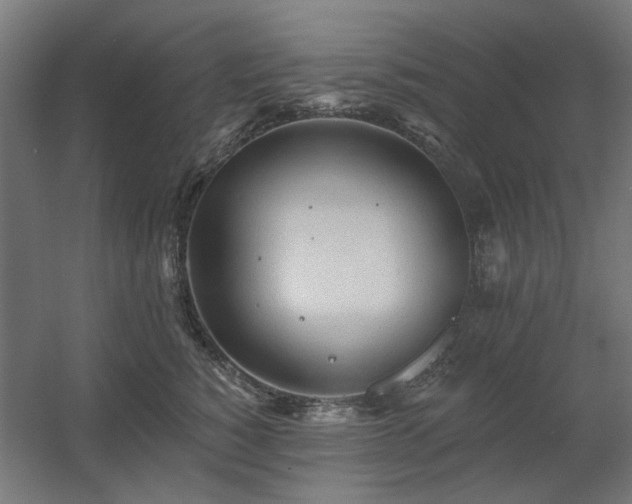 X0000060560760200511031243