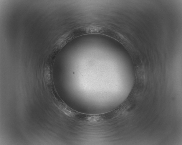 X0000060560761200511031243