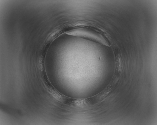 X0000060560762200511031243