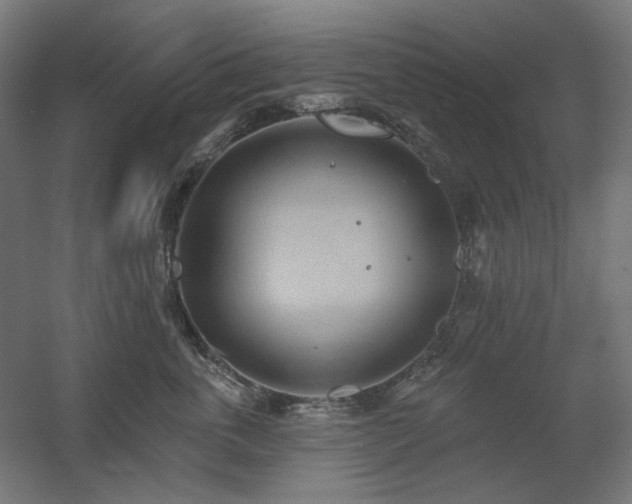 X0000060560763200511031243