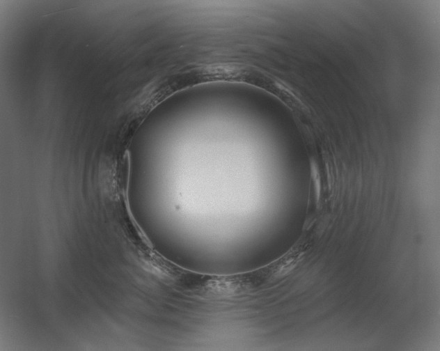 X0000060560764200511031243