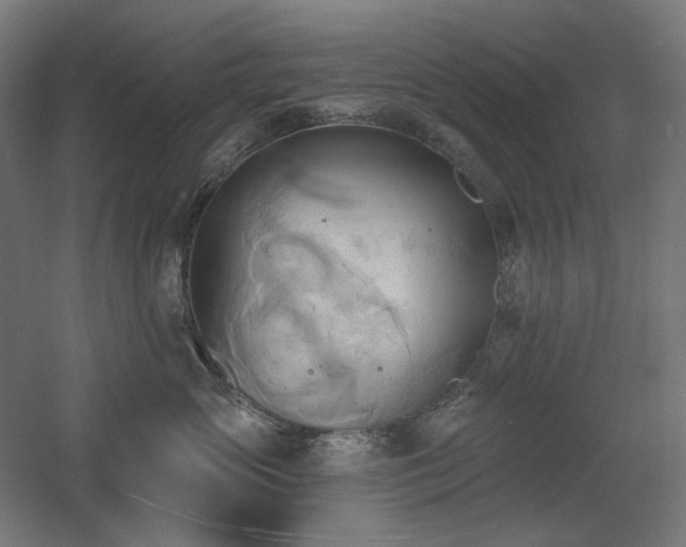 X0000060560765200511031243