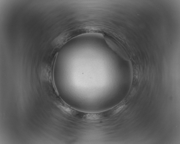 X0000060560766200511031243