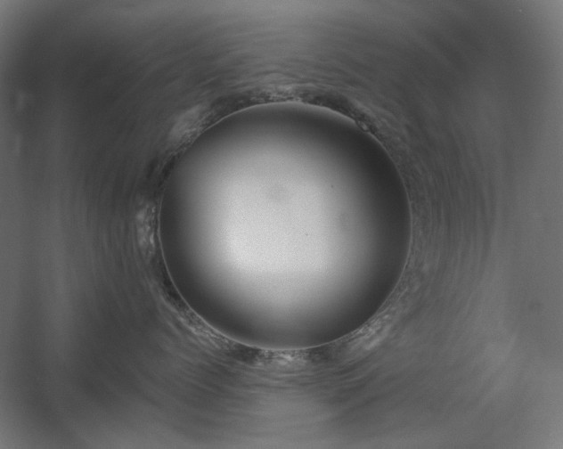 X0000060560768200511031243