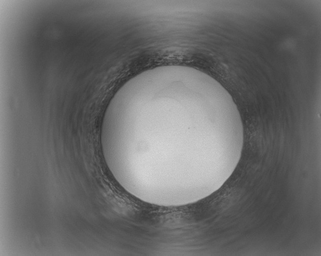 X0000060560769200511031242