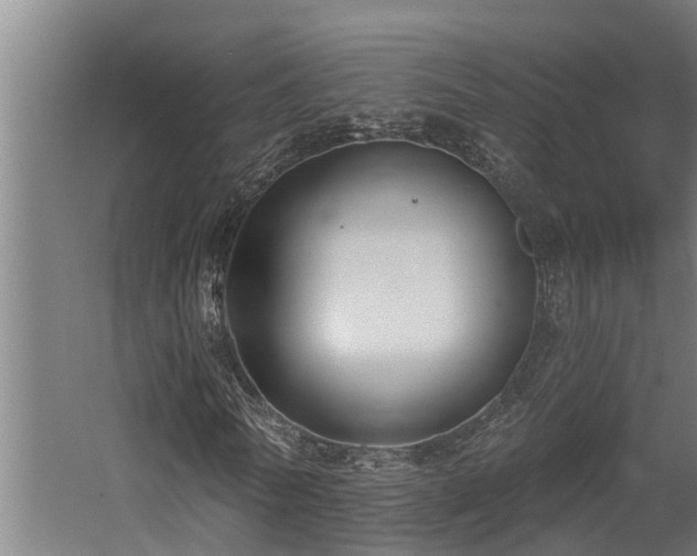 X0000060560770200511031242