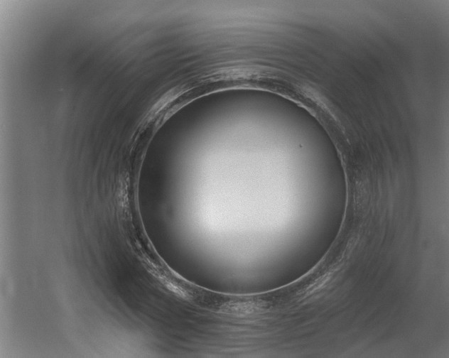 X0000060560778200511031242