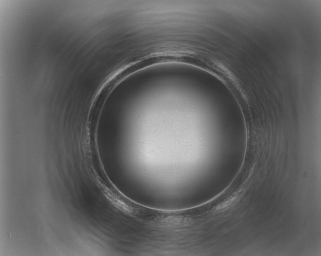 X0000060560779200511031242