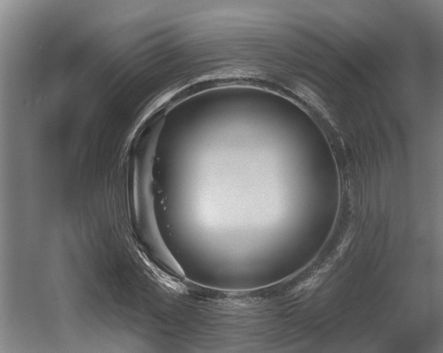 X0000060560781200511031242