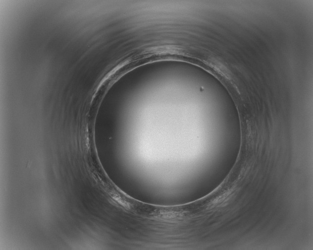 X0000060560782200511031242