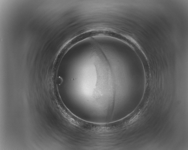 X0000060560783200511031242