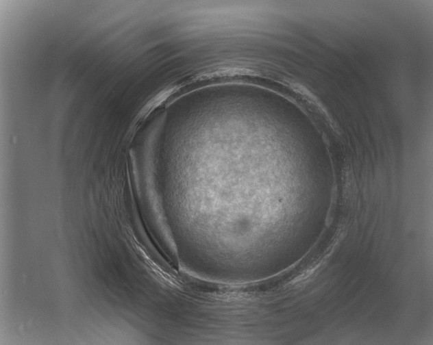 X0000060560785200511031242