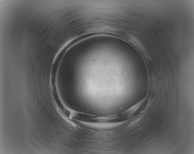 X0000060560788200511031242