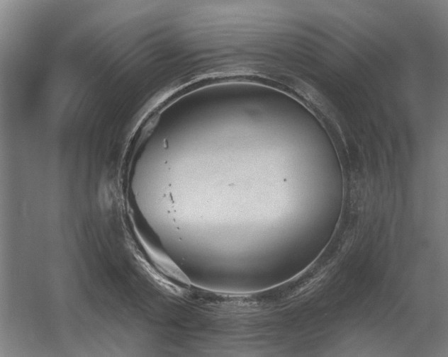 X0000060560789200511031242