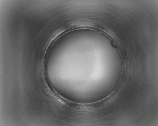 X0000060560790200511031242