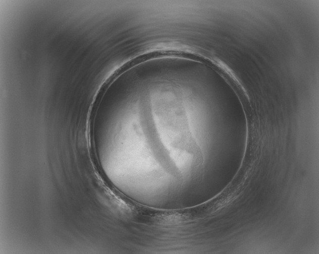 X0000060560791200511031242