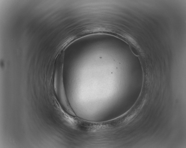 X0000060560793200511031242