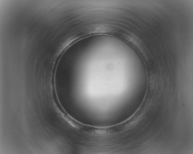 X0000060560794200511031242