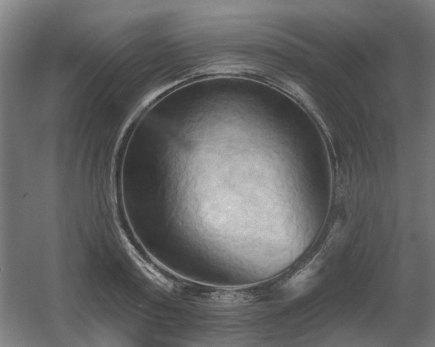 X0000060560795200511031242