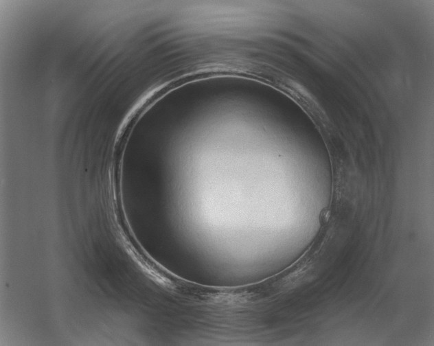 X0000060560796200511031241