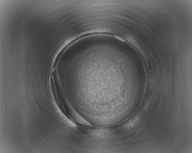 X0000060560797200511031241