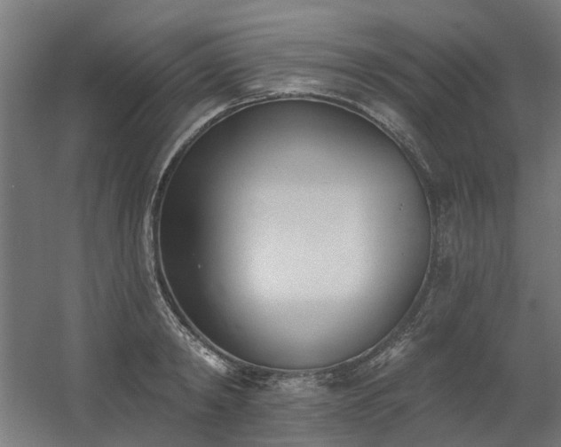 X0000060560798200511031241