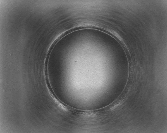 X0000060560799200511031241