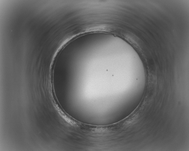 X0000060560800200511031241