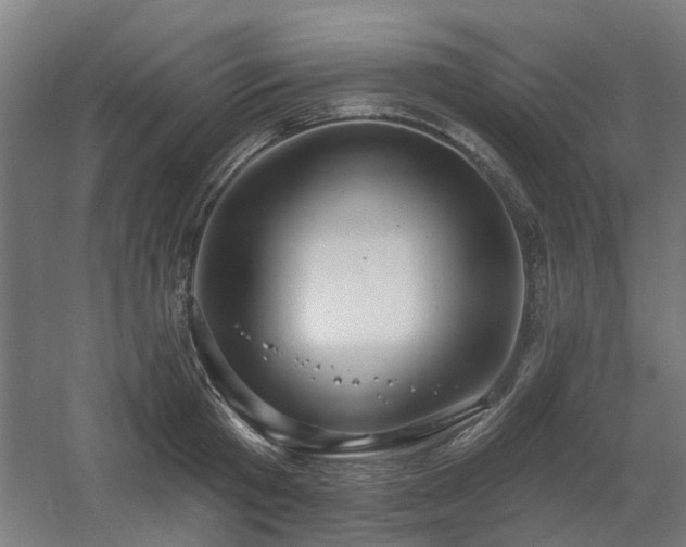 X0000060560801200511031241