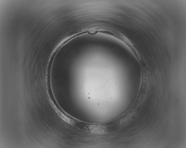 X0000060560803200511031241