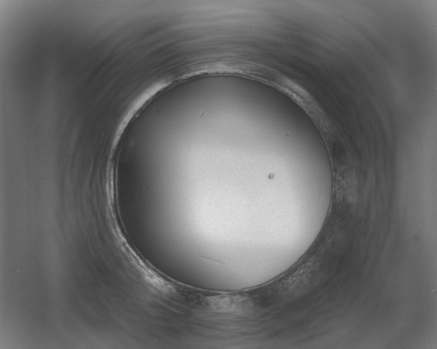 X0000060560804200511031241